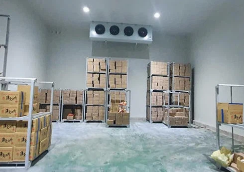 Cold storage systems use refrigerant gas R290 Cold storage systems use refrigerant gas R290